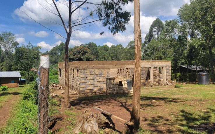 Building home